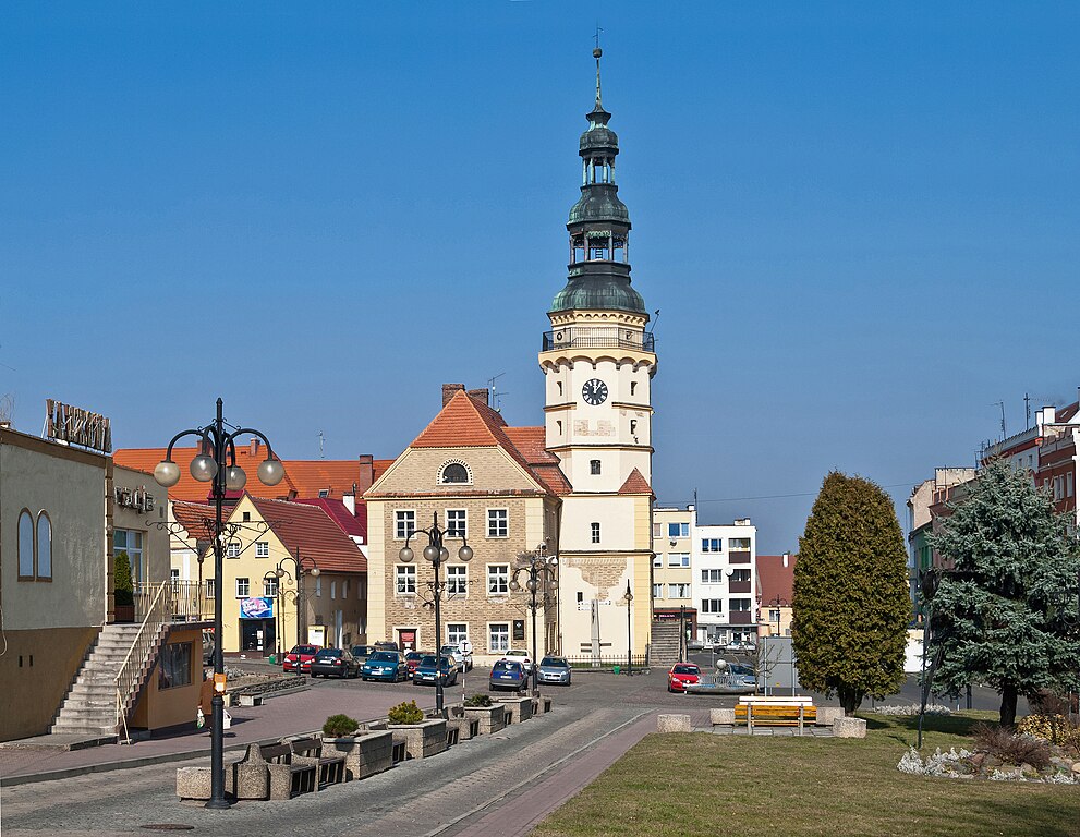 Przewóz busem z Otmuchowa do Holandii Przewóz busem z Otmuchowa do Holandii
