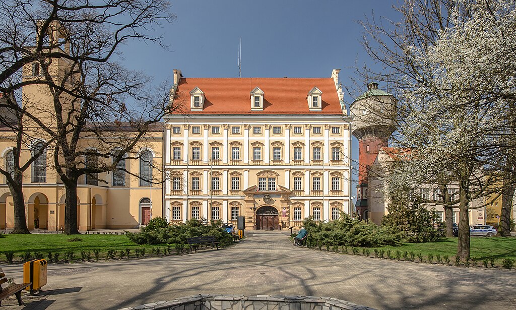 Paczki do HOLANDII z Oławy Paczki do HOLANDII z Oławy